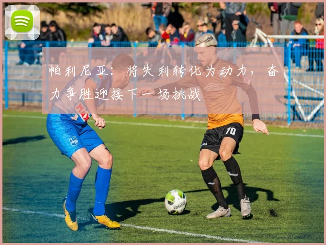 帕利尼亚：将失利转化为动力，奋力争胜迎接下一场挑战